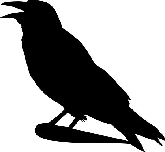 Clip art of dark colored raven