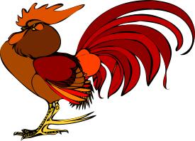 Color illustration of a rooster