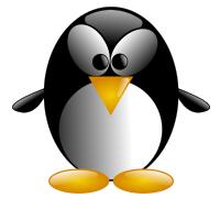 Illustration of cartoon penguin with big eyes