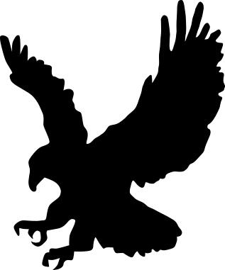 Bald eagle silhouette vector illustration.