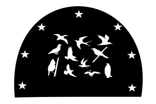 Graphics of different bird silhouettes on a black background