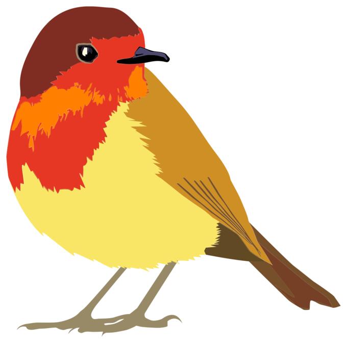 Graphics of red and brown bird
