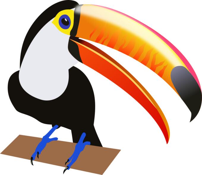Drawing of a tropical bird