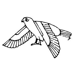 Bird in flight sign illustration