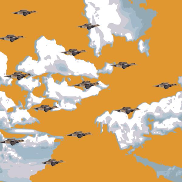 Ducks flying vector graphics