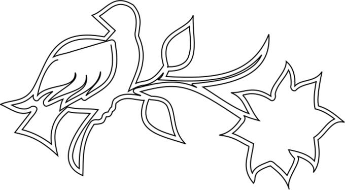 Line art drawing of bird on a branch