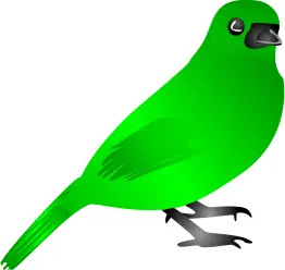 Green bird vector drawing
