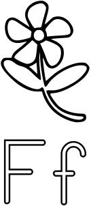 F is for Flower alphabet learning guide vector illustration