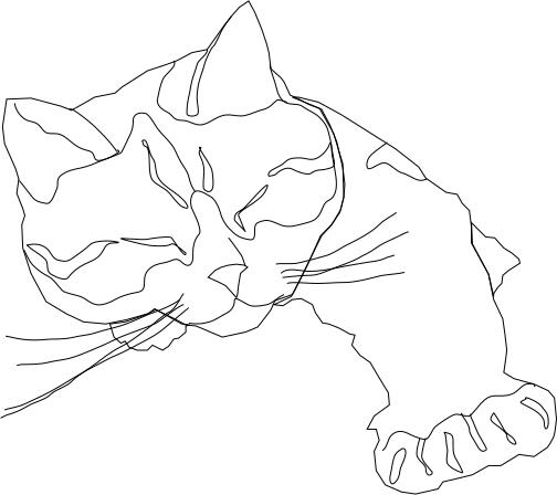 Line drawing of a sleepy Calico cat