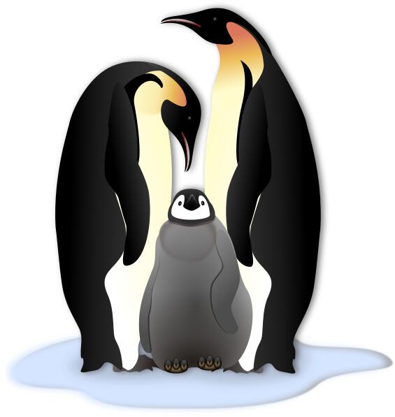 Penguin family in color illustration