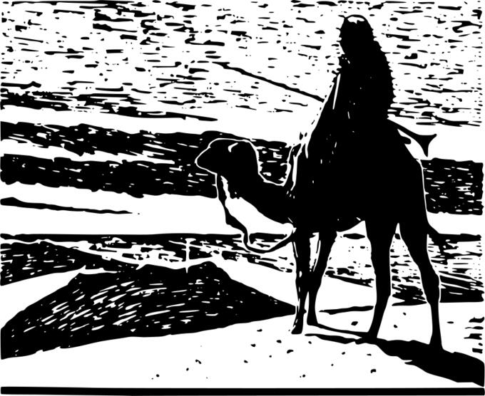 Camel rider overlooking the sand dunes vector clip art