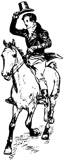 Horse rider lifting his hat vector graphics