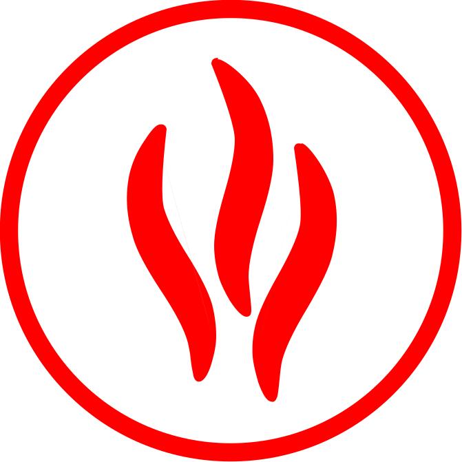Flammable item logo color illustration