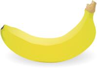 Photorealistic individual banana vector image