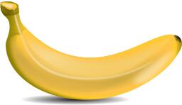 Edible yellow fruit clip art