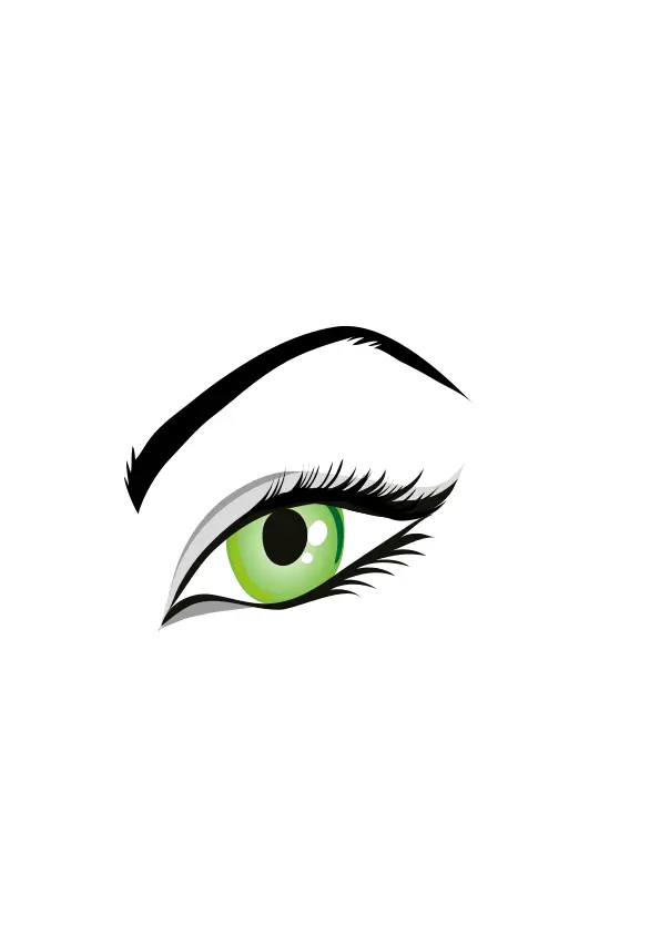 Vector image of ladies green eye with eyebrows