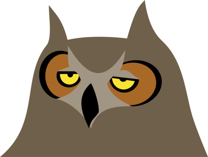 Bored owl head vector image