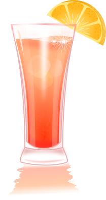 Margarita with orange slice vector graphics