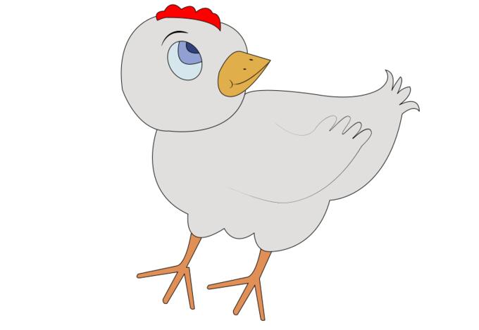 Vector illustration of confused grey chick
