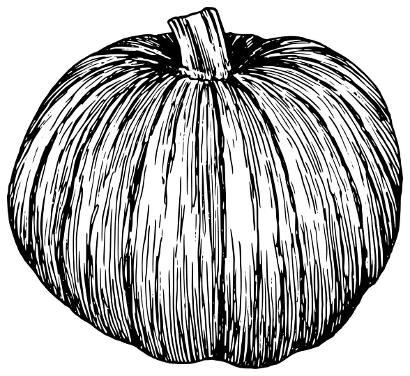 Pumpkin silhouette vector clip art