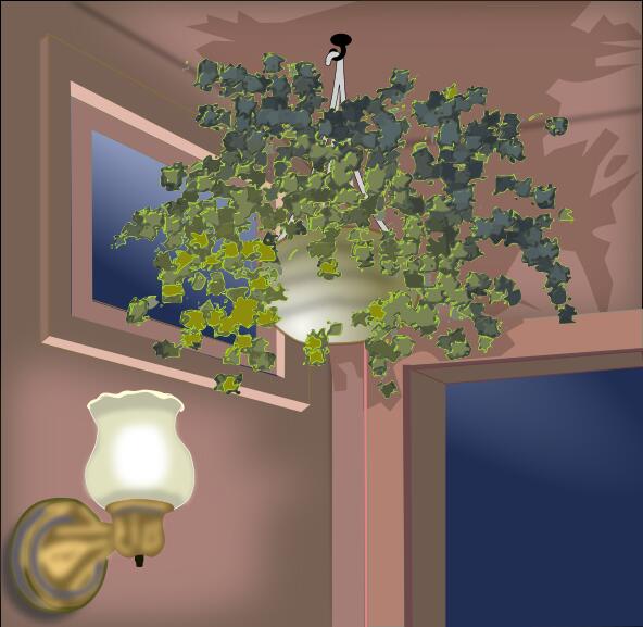 Vector illustration of hanging plant in the corner of a room