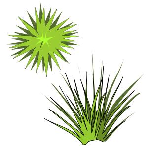 Vector illustration of green spiky plant with green sun above