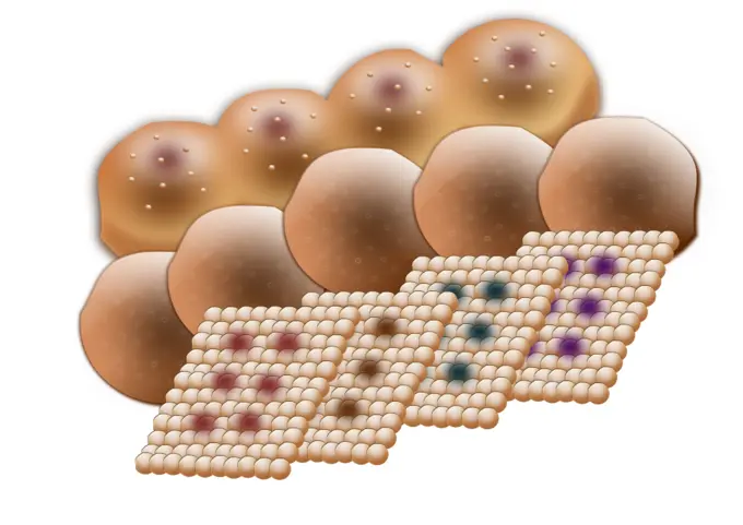 Baked sweets vector illustration