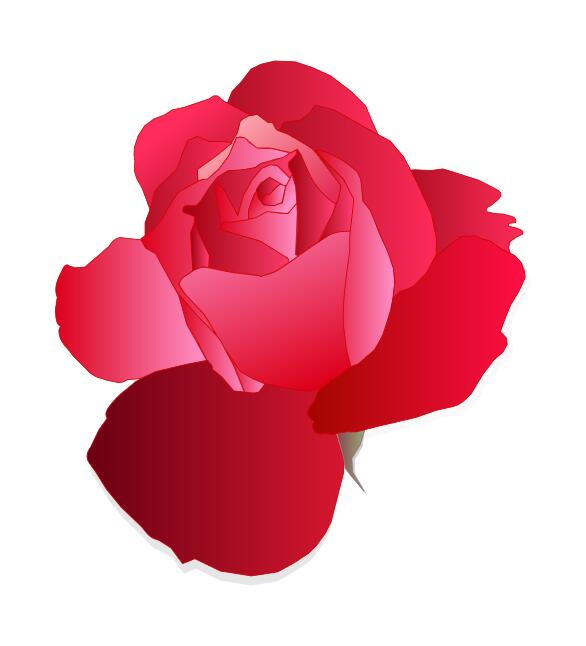 Digital drawing of red rose