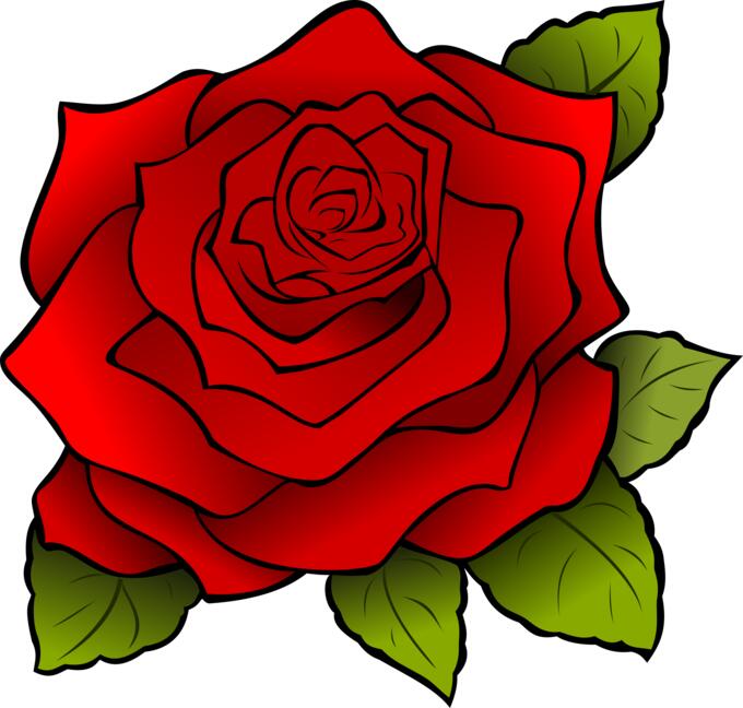 Graphics of blooming rose with black outline