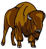 Brown bison drawing
