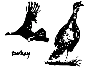 Vector graphics of turkey in stencil filter