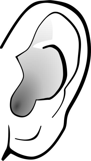 Grayscale image of ear
