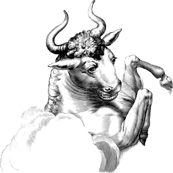Animal with horns vector drawing