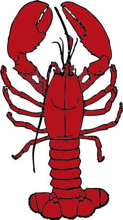 Vector drawing of lobster