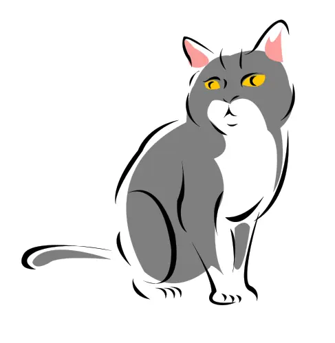 Cat vector drawing