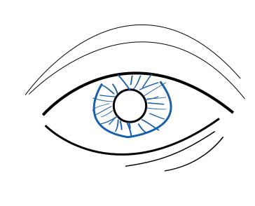 Outline vector illustration of eye