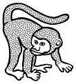 Vector image of spotty monkey