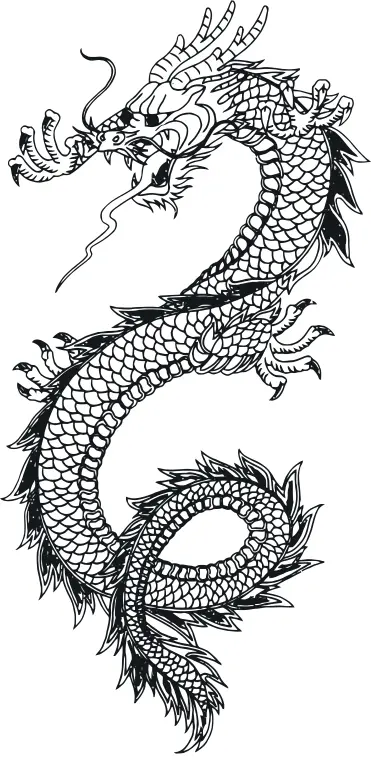 Vector drawing of a dragon