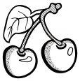 Vector graphics of two cherries in black and white