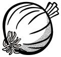Image of onion in black and white