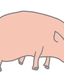 Vector image of orgami sculpture of pig