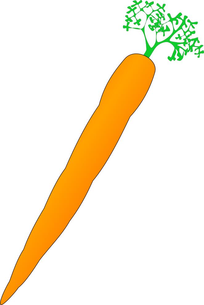 Vector image of orange carrot