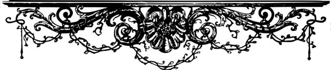 Vector clip art of curly divider bar