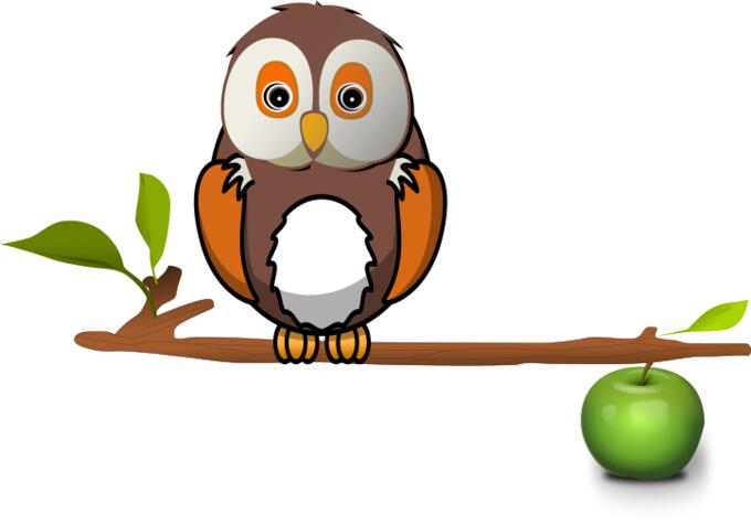 Owl on apple branch vector clip art