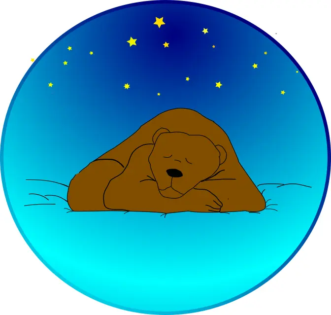 Brown bear sleeping under stars vector clip art