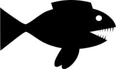 Vector illustration of shark fish