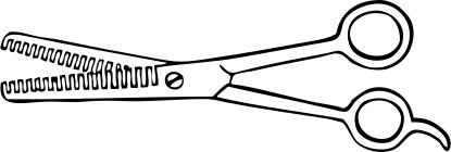 Two blade thinning shears