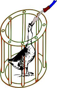 Battery Force-Fed Goose vector clip art