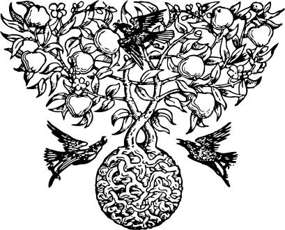 Vector drawing of intertwining trees