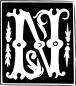 Vector drawing of decorative letter N